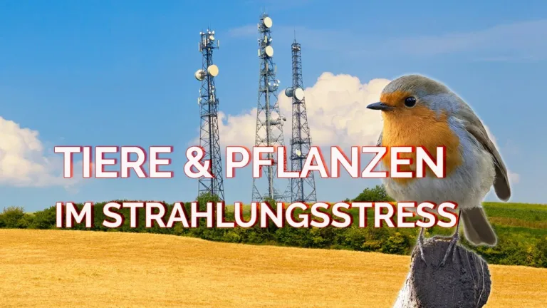 Tiere pflanzen strahlung